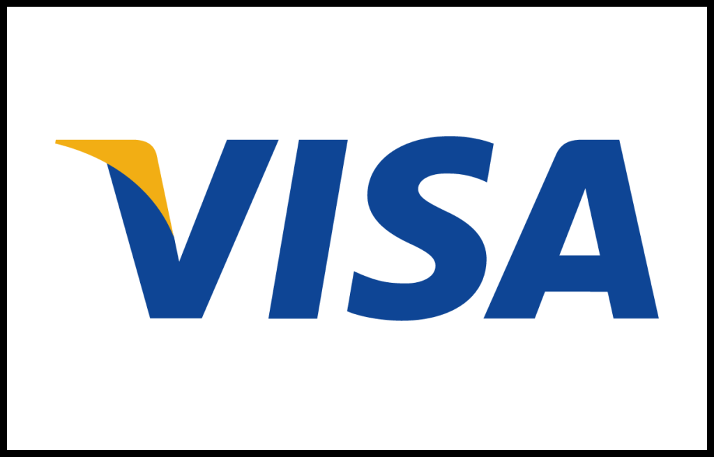 Visa Icon